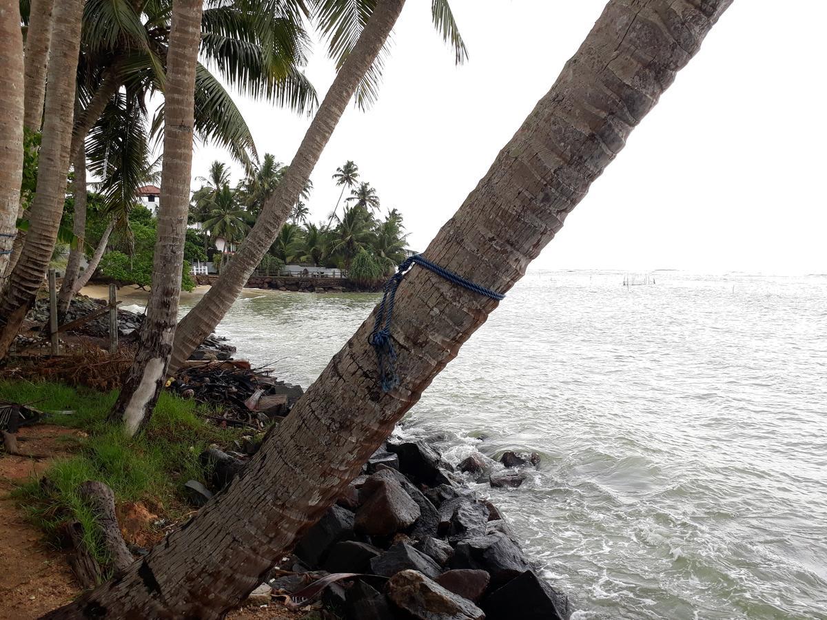 Himawari Beach Villa Matara Extérieur photo